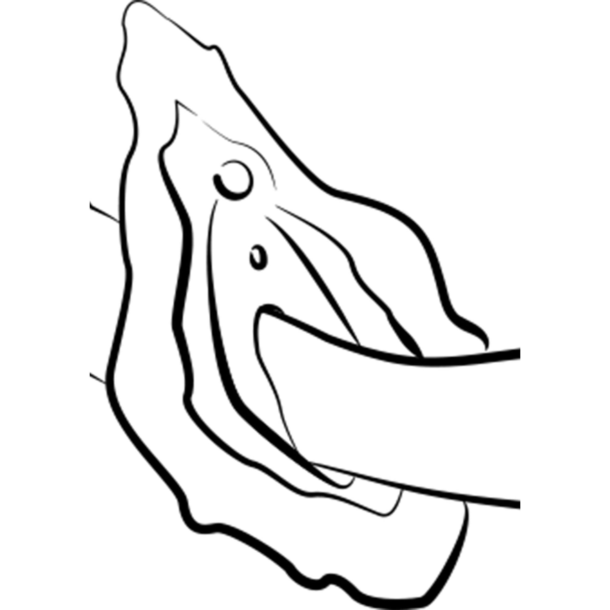 Hype - Love-union.de