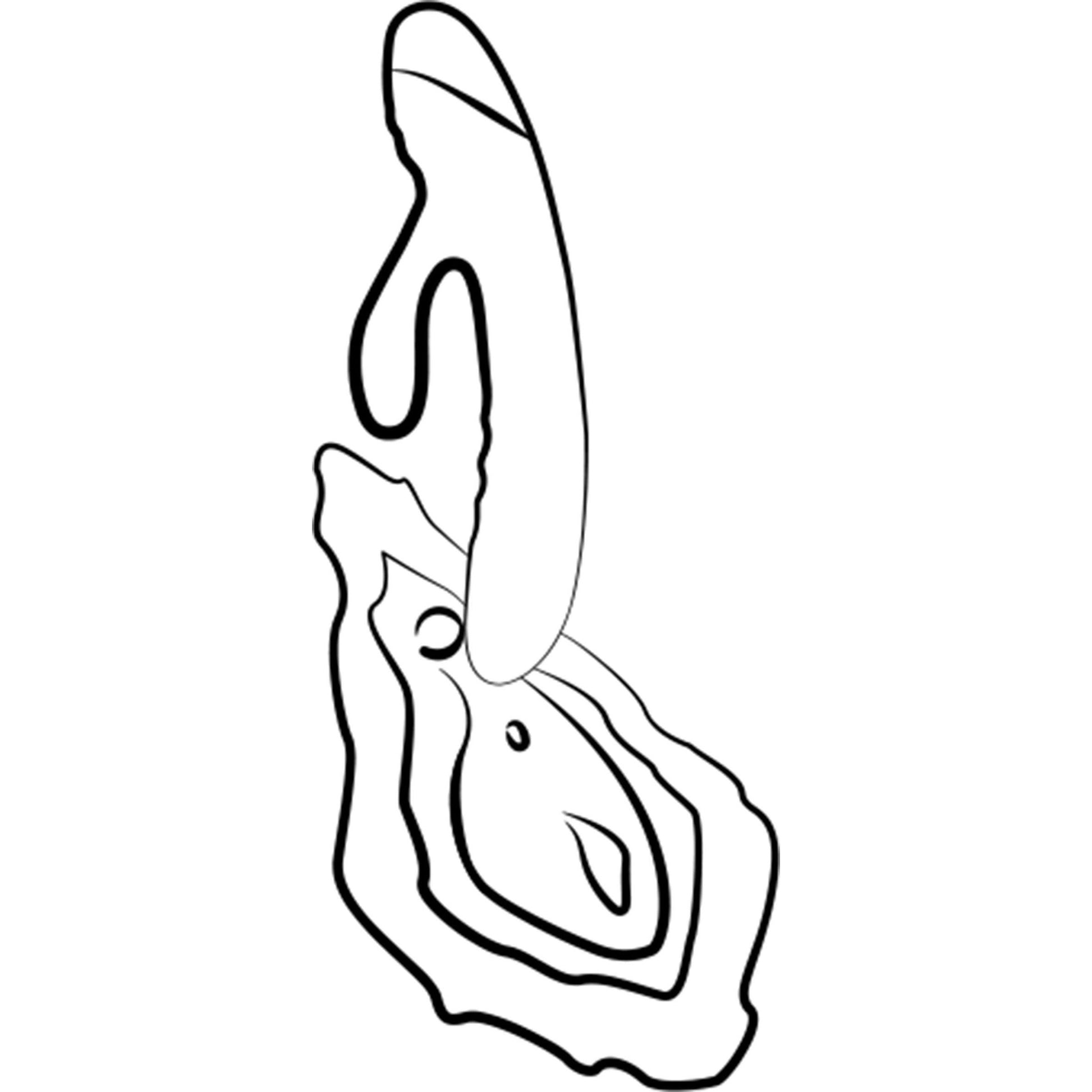 Jazz - Love-union.de