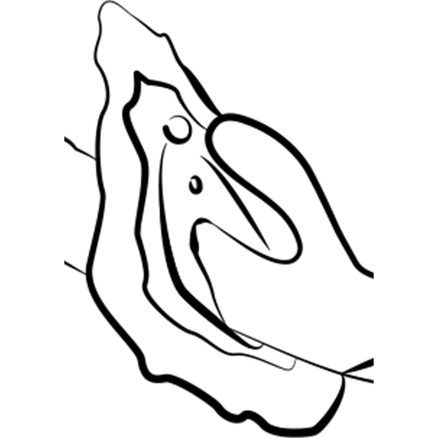 Jazz - Love-union.de