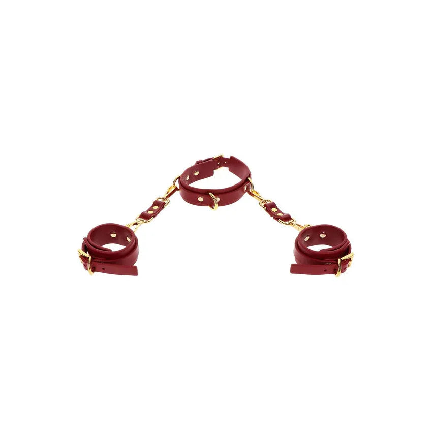 TABOOM D-RING Collar & Cuffs