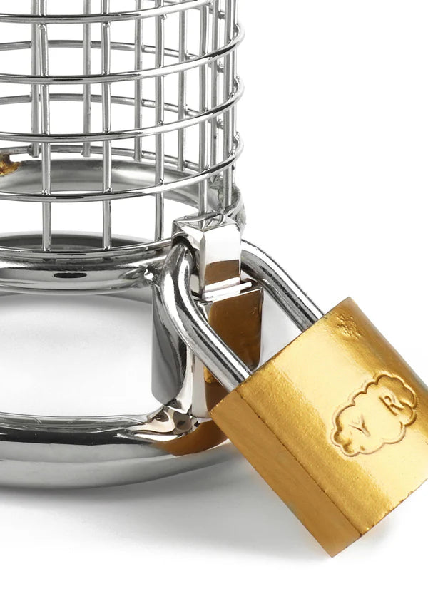 Cage de chasteté Mr. Steel Matrix 13 cm – cage de chasteté en acier inoxydable