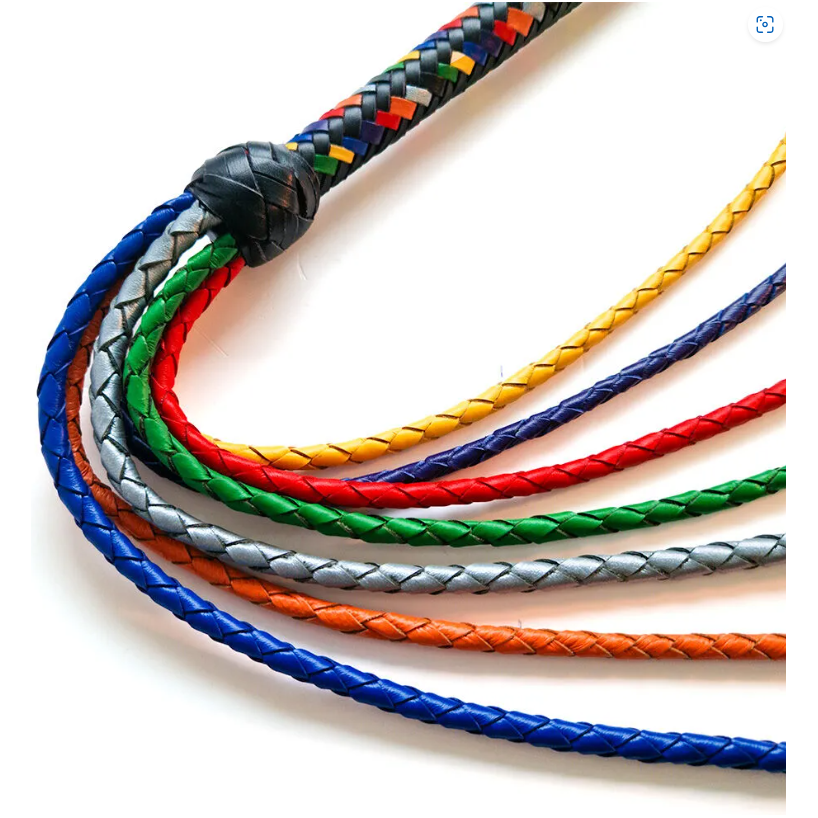 Gay Pride Lederpeitsche - Love-union.de