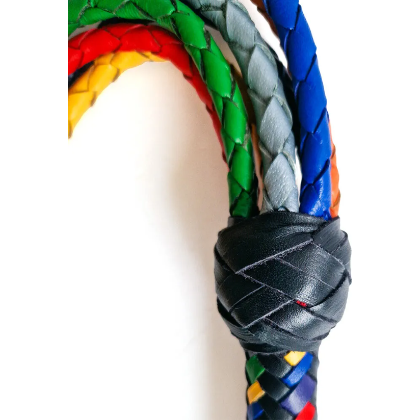 Gay Pride Lederpeitsche - Love-union.de