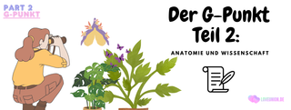 Der G-Punkt Teil 2: Anatomie und Wissenschaft