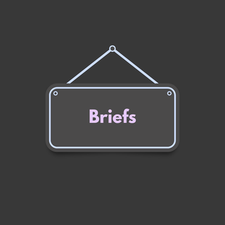 Briefs