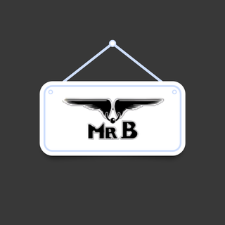 Mister B