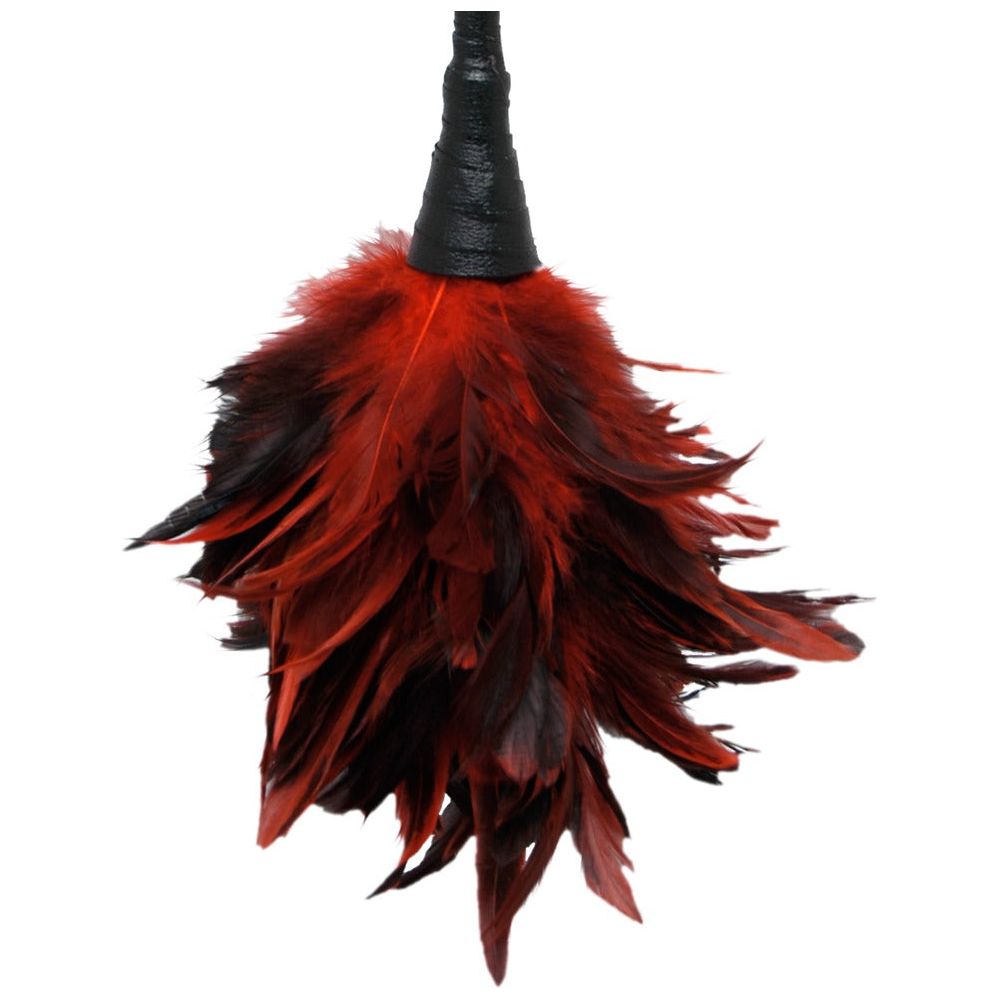 Frisky Feather Duster - love-union.de