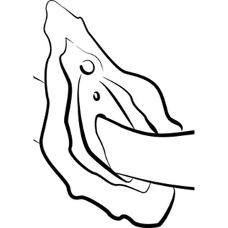 Hype - Love-union.de