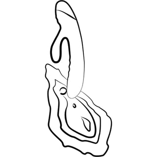 Jazz - Love-union.de