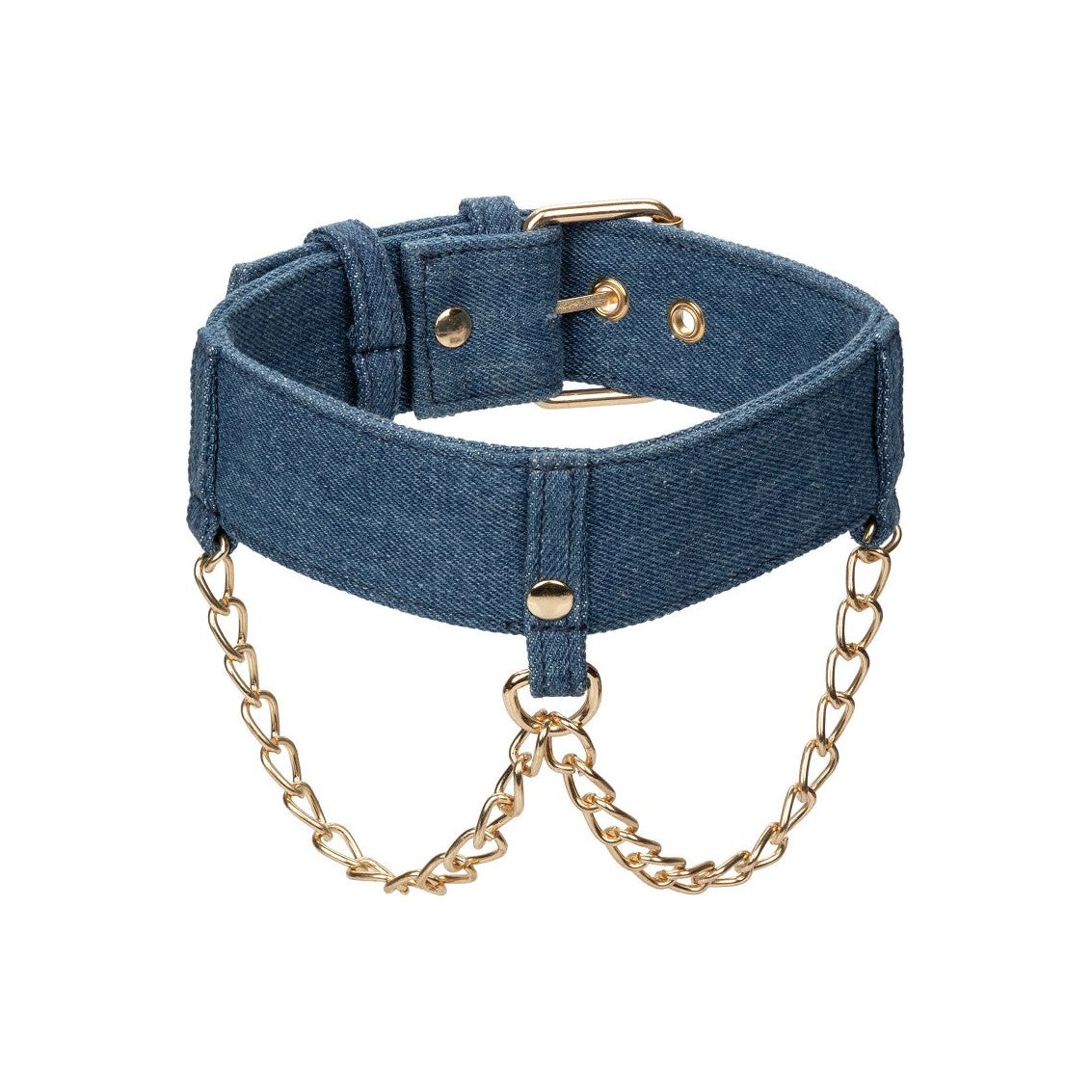 Ride 'em Premium Denim Collection Collar with Leash - love-union.de