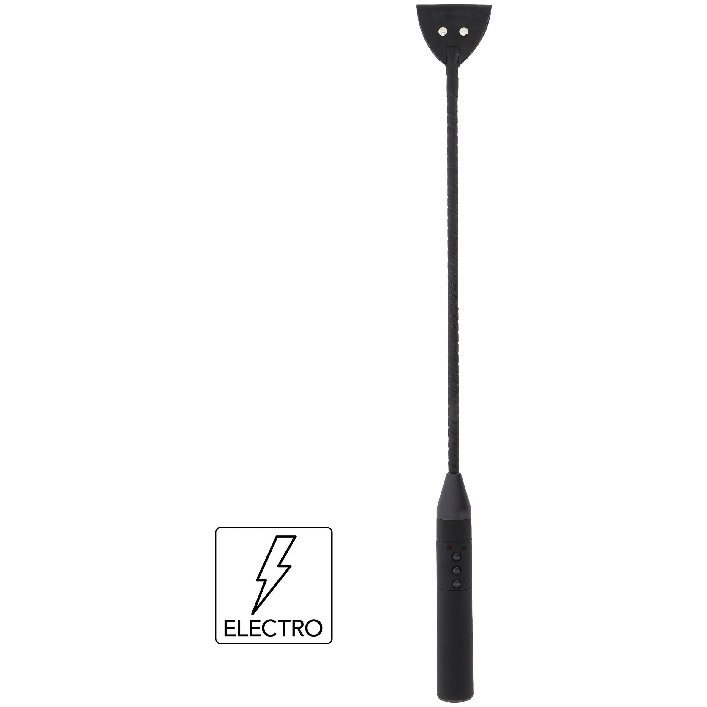 Extreme Electro Riding Crop