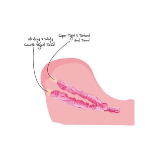 Bangers - Upskirt College Slut by Scala 2.0