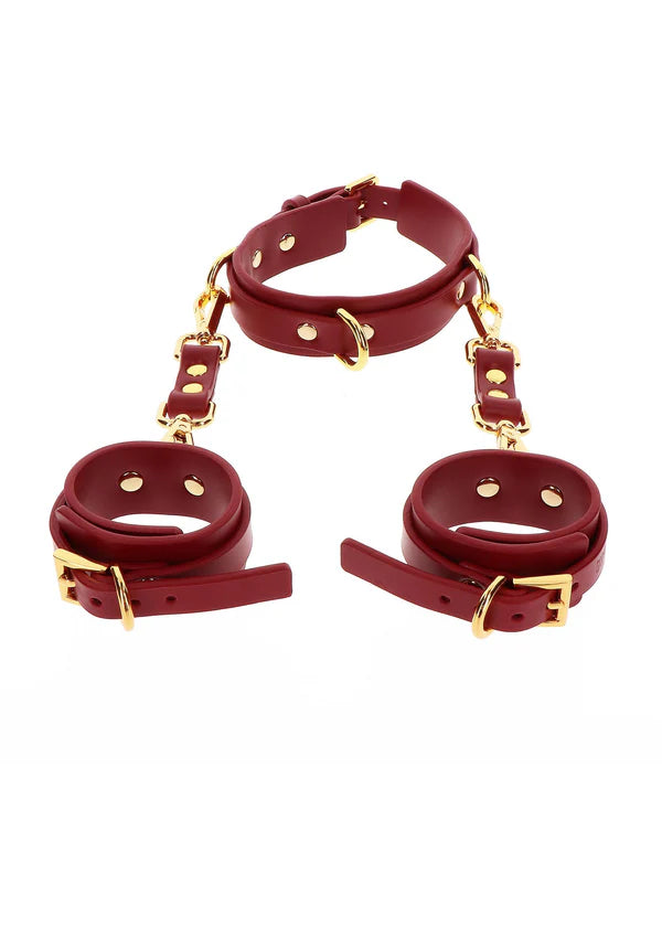 TABOOM D-RING Collar & Cuffs