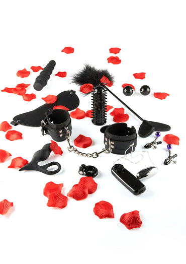Amazing Pleasure Sex Toy Kit - 10-teiliges Erotik Set - Love-Union.de