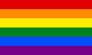 Pride Flagge – LGBTQIA+ Flaggen für Vielfalt, Sichtbarkeit & Community - love-union.de