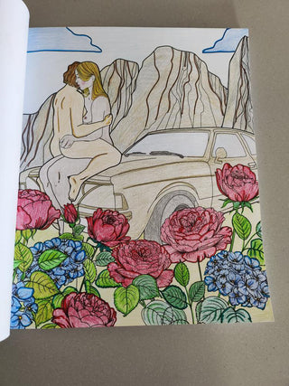 Erotic coloring books