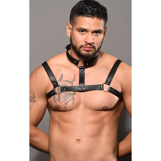 Choker Harness - love-union.de