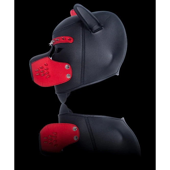 Trophy Boy - Puppy Play Maske - love-union.de