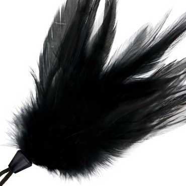 Black feather pen