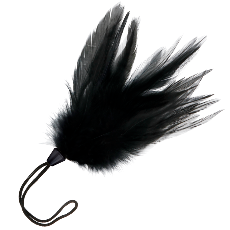 Black feather pen