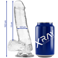 X RAY - Clear Cock 18.5 CM -O- 3.8 CM - love-union.de