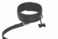 PROWLER RED COLLAR AND LEASH