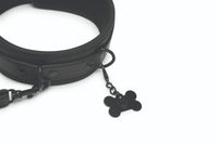 PROWLER RED COLLAR AND LEASH